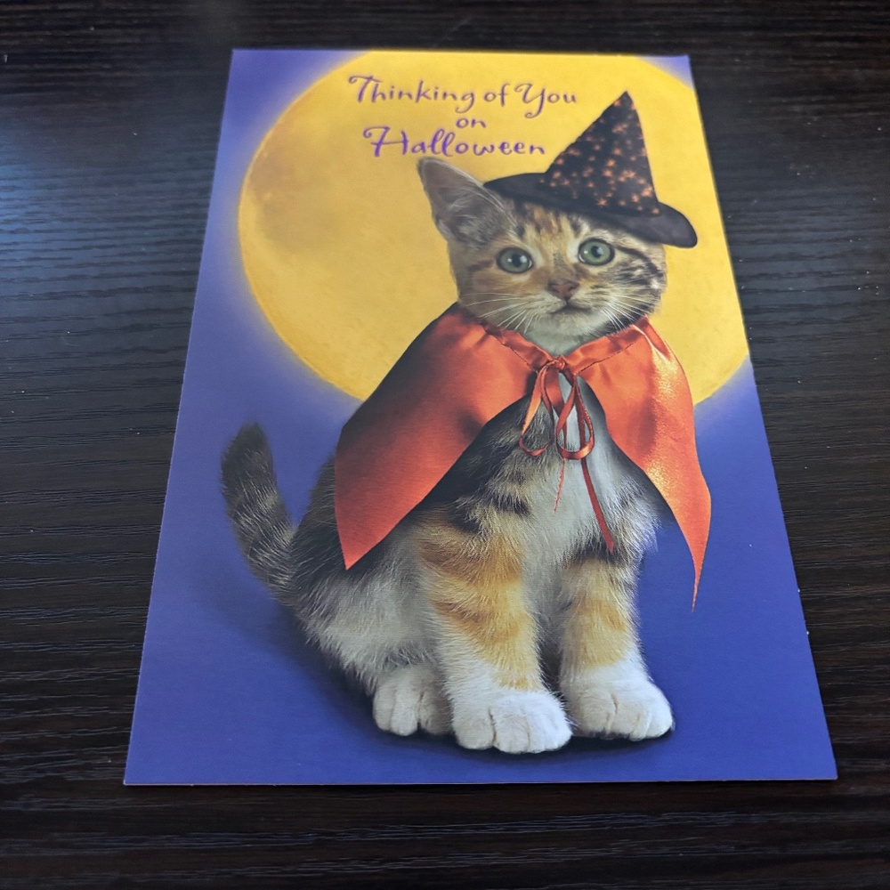 CAT WITCH HALLOWEEN GREETING CARD